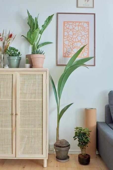 Luxury - Family Friendly - - Cozy- Balcony * Copenhague